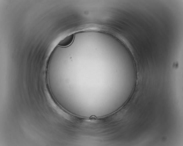 X0000112861483200909041541