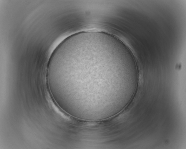 X0000112861484200909041541