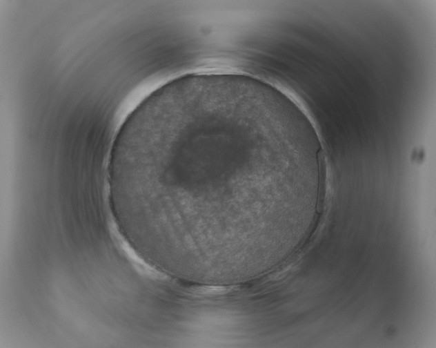 X0000112861485200909041541