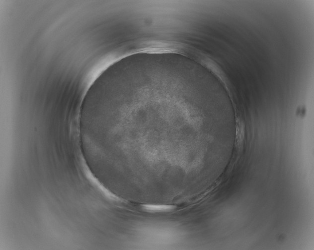 X0000112861487200909041541