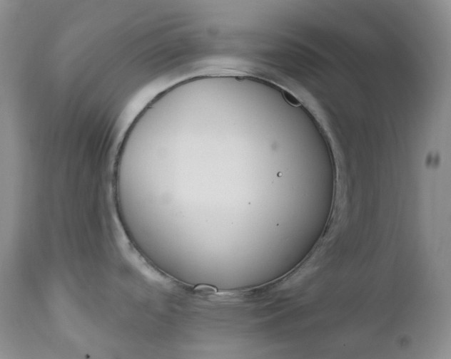 X0000112861488200909041541