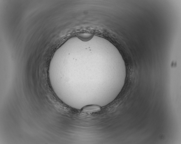 X0000112861489200909041540