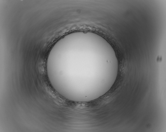 X0000112861490200909041540