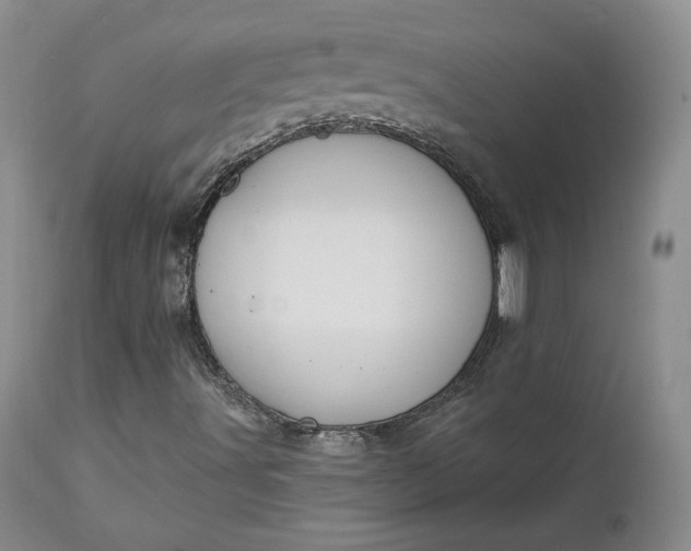 X0000112861491200909041540