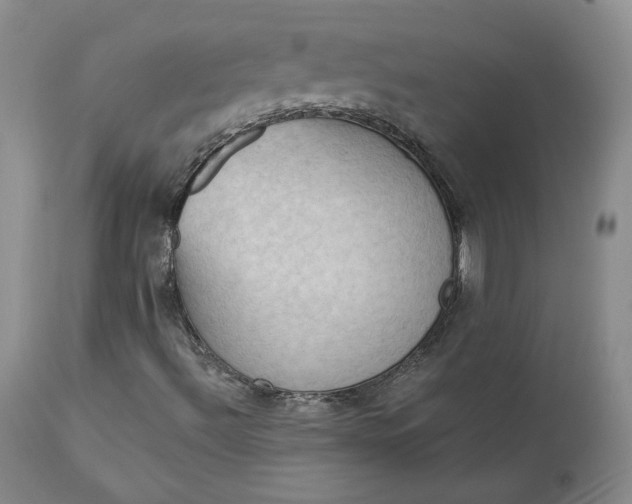 X0000112861492200909041540