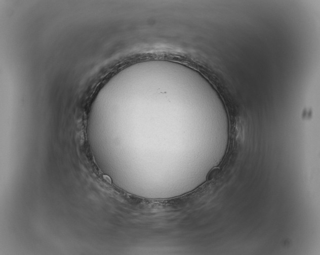 X0000112861493200909041540