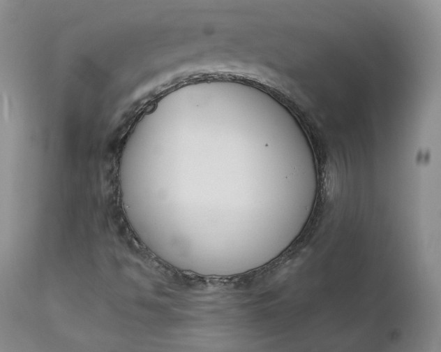 X0000112861494200909041540