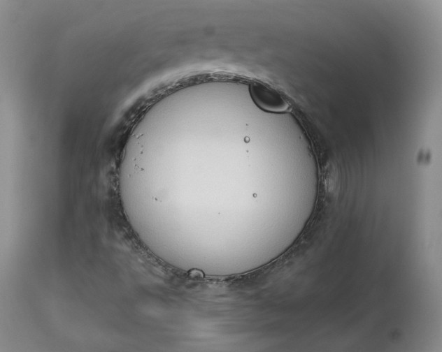 X0000112861495200909041540