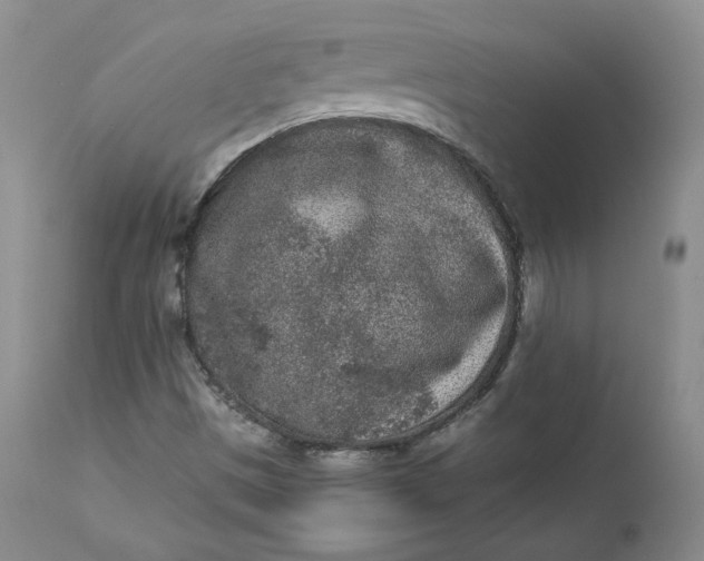 X0000112861497200909041540
