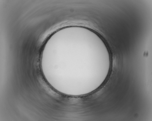 X0000112861498200909041540