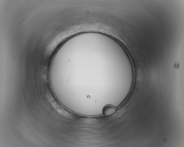 X0000112861499200909041540