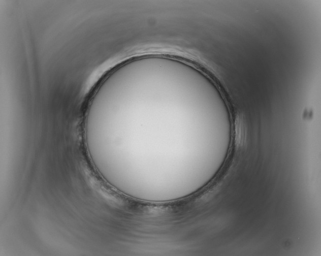 X0000112861501200909041540