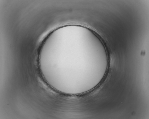 X0000112861502200909041540