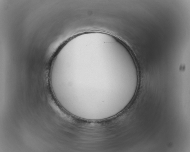 X0000112861503200909041540