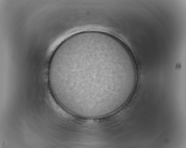 X0000112861504200909041540