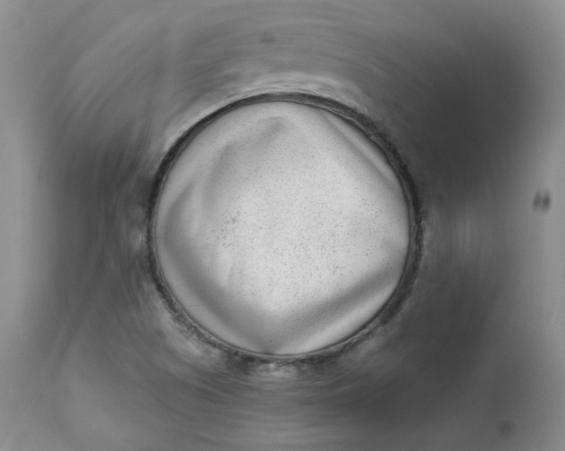 X0000112861505200909041540