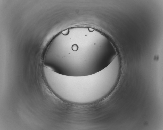 X0000112861506200909041540