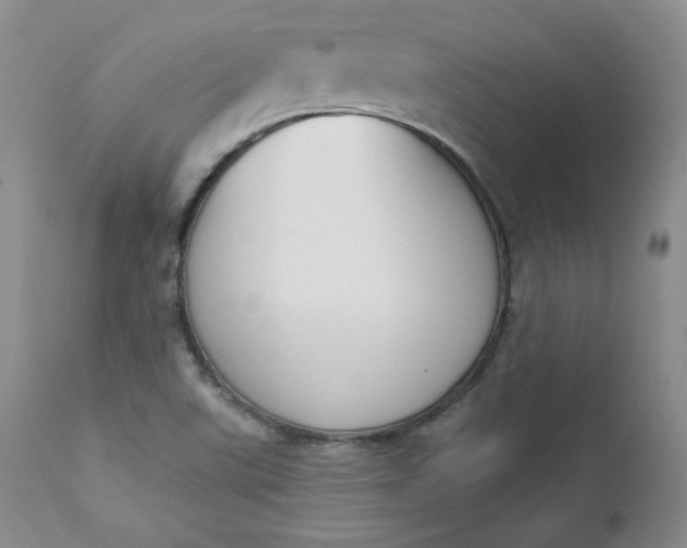 X0000112861507200909041540