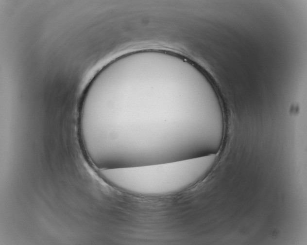 X0000112861508200909041540