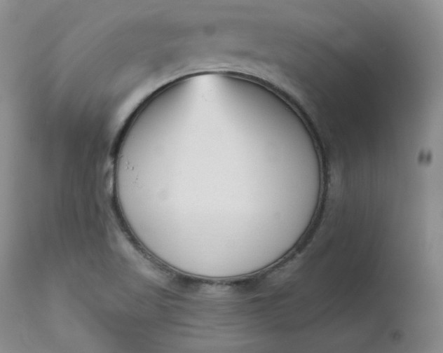 X0000112861509200909041540