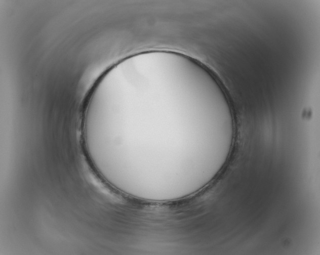 X0000112861511200909041541