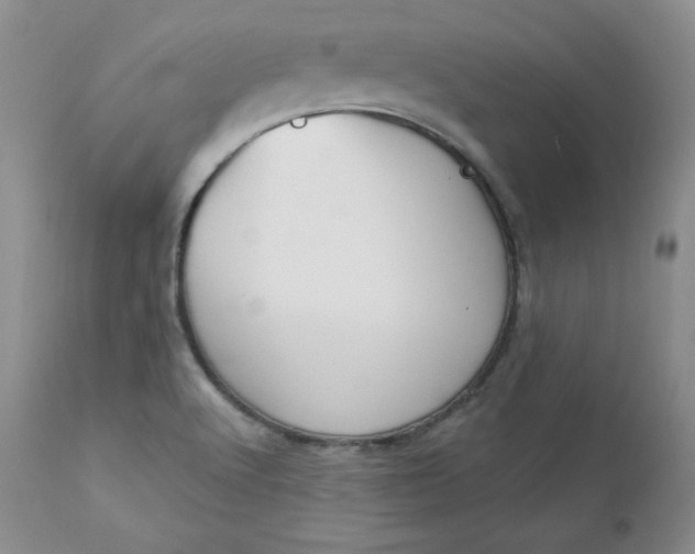 X0000112861512200909041541