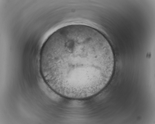 X0000112861514200909041541