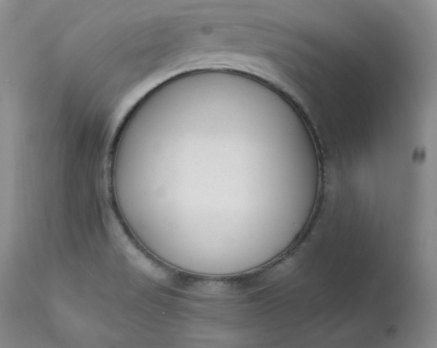 X0000112861517200909041541