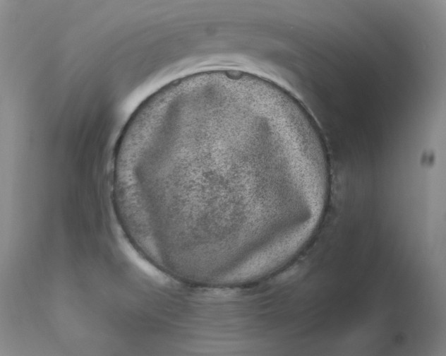 X0000112861519200909041541