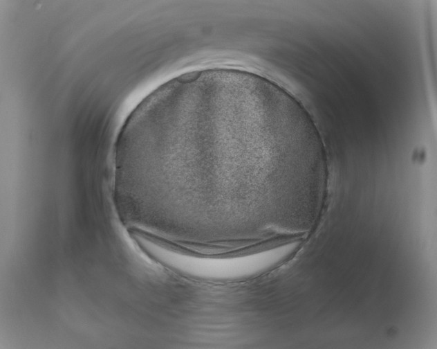 X0000112861520200909041541