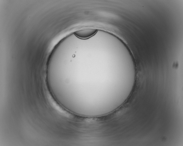 X0000112861523200909041541