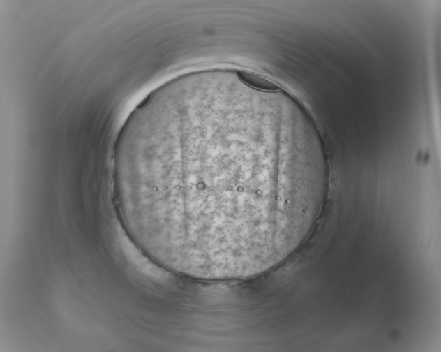 X0000112861524200909041541