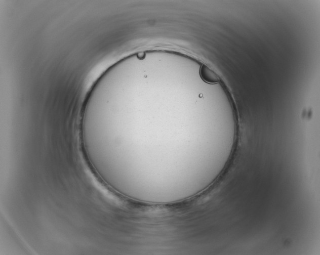 X0000112861525200909041541