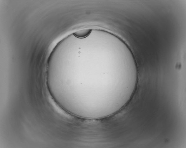 X0000112861526200909041541