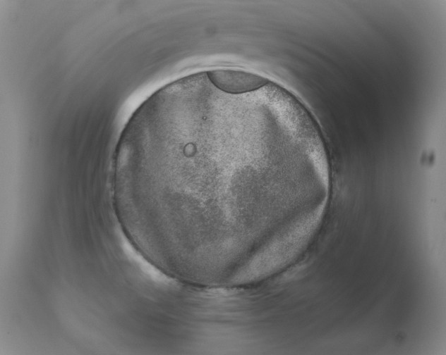 X0000112861527200909041541