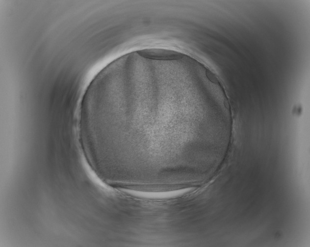 X0000112861528200909041541