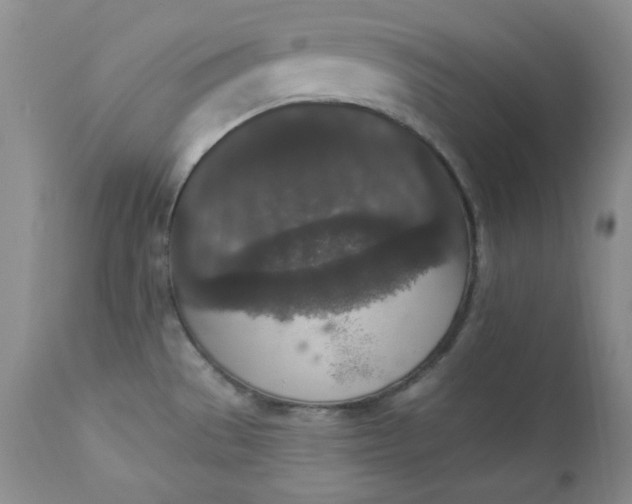 X0000112861529200909041541