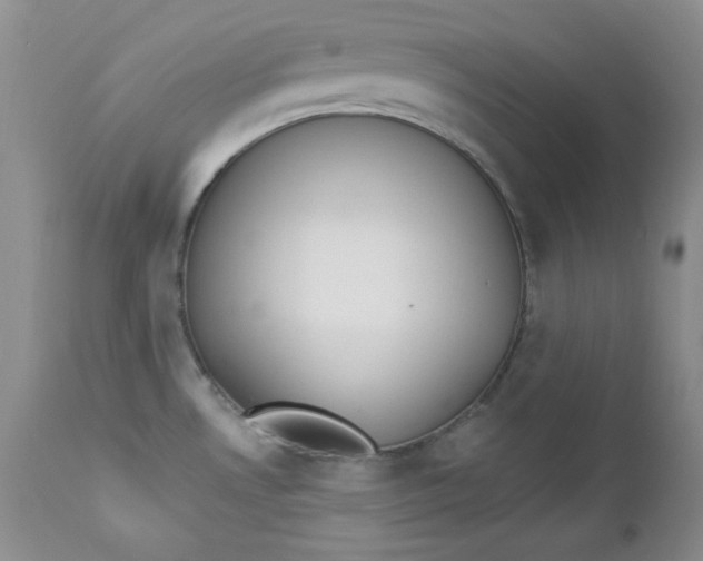 X0000112861530200909041541