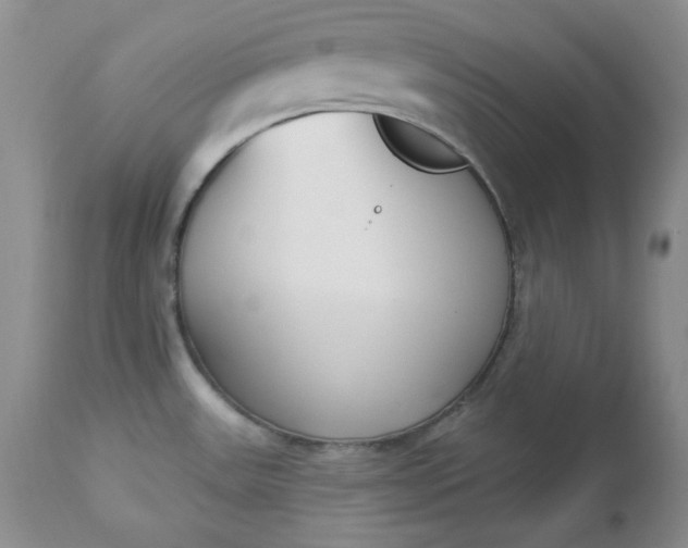 X0000112861531200909041541