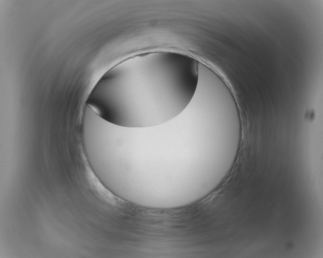 X0000112861532200909041541