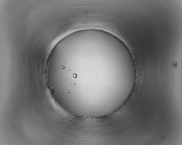 X0000112861534200909041541