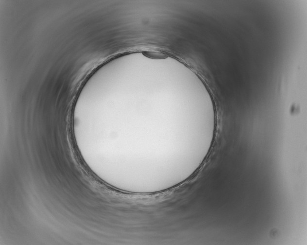 X0000112860001200909111520