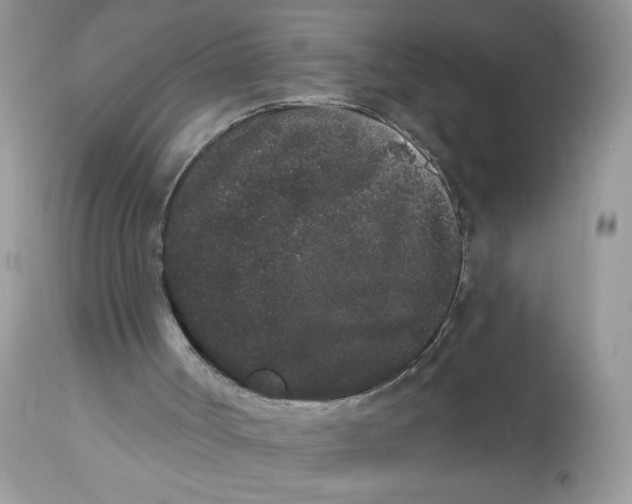 X0000112860002200909111520