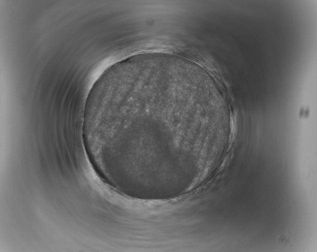 X0000112860003200909111520