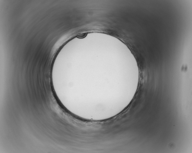 X0000112860004200909111520