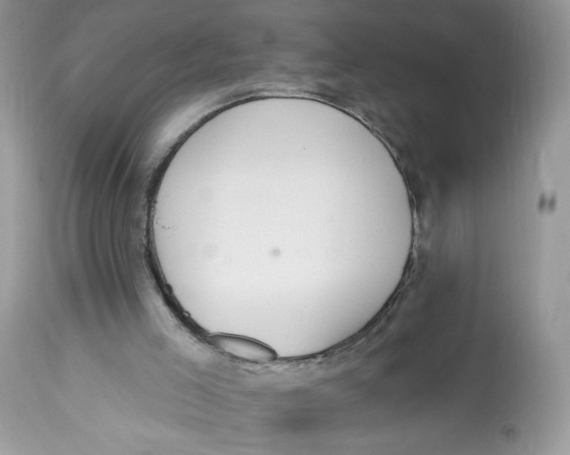 X0000112860005200909111520