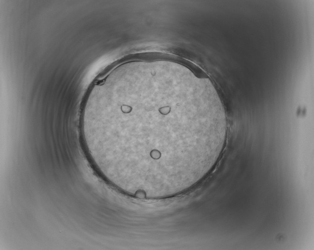 X0000112860006200909111520