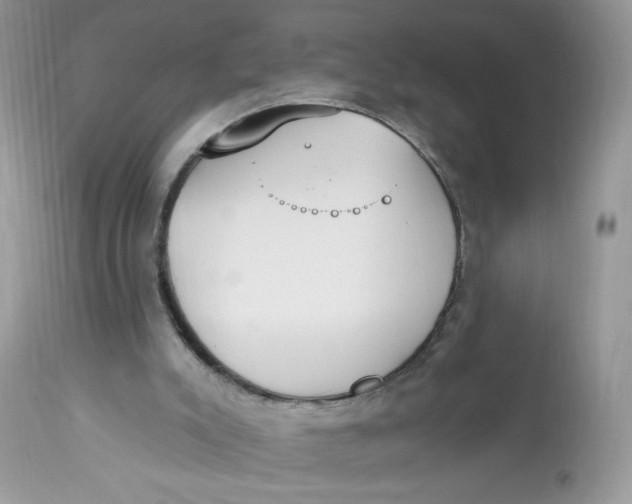 X0000112860007200909111520