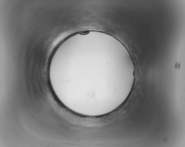 X0000112860008200909111520