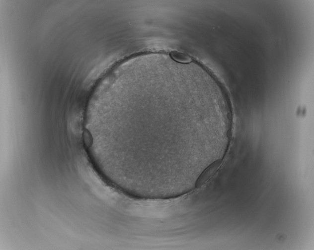 X0000112860009200909111520